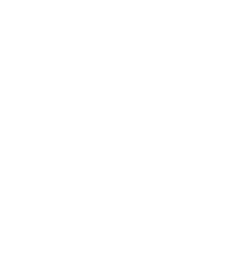 The Logo
